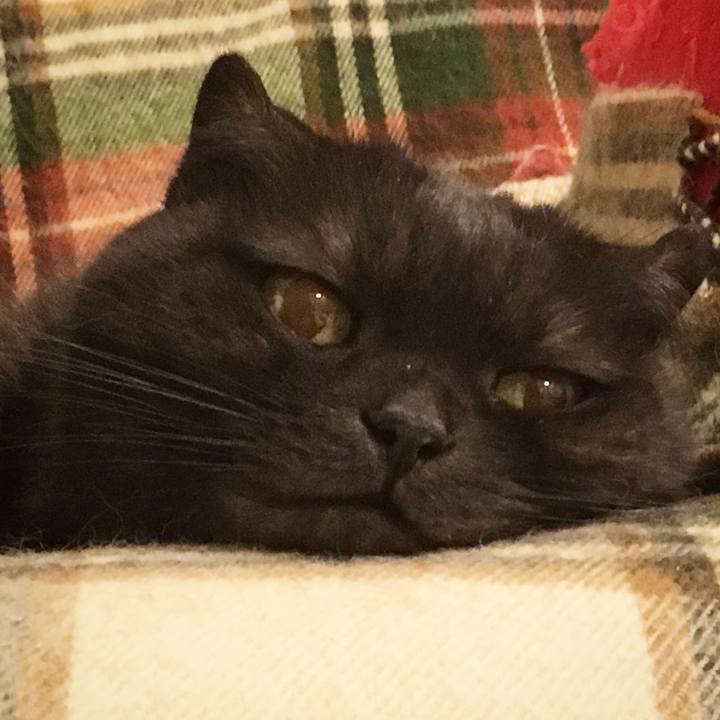 3cb7b664 ce44 431d 81fb 4eabc3f621bb 1539451254854