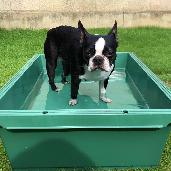 3cb7bfa1 3f9b 4d66 82ce 2e70cb2f88f0 1626419232076