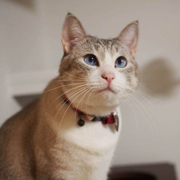 3cb7c63d 71fc 43e5 8ef7 239e327ffdd5 1575345501277