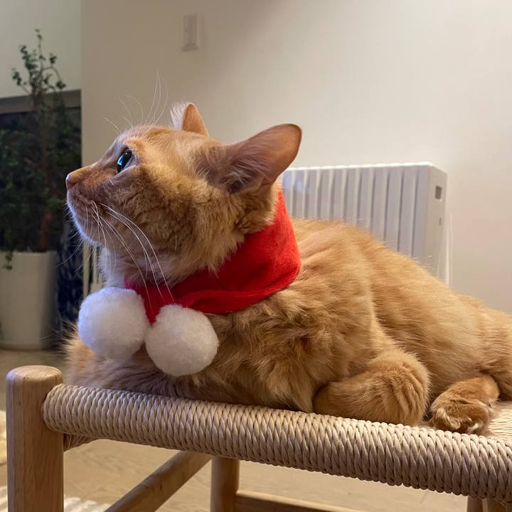 3cb7dadd 34c4 49e3 a668 fd20759a164c 1771317588738