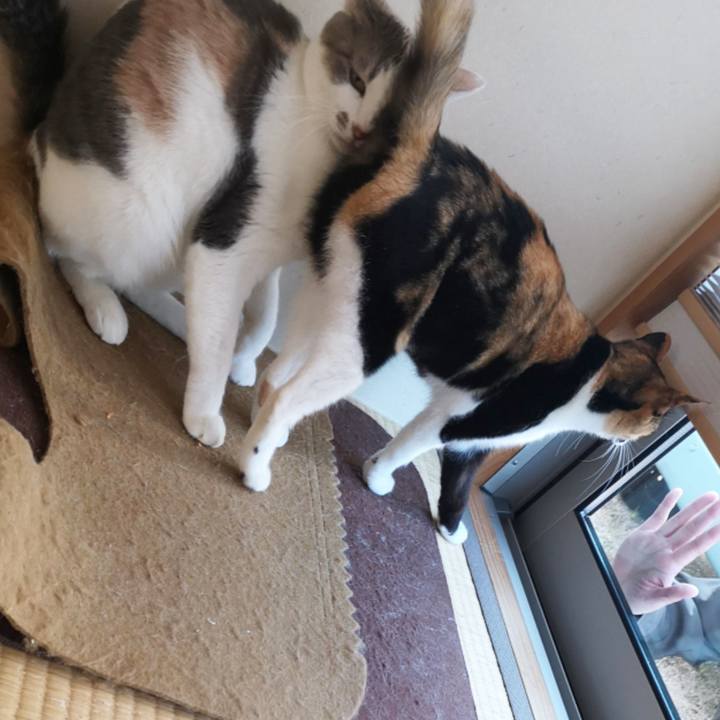 3cb8443b 0445 46c9 856a fefce7f69aef 1605449059539