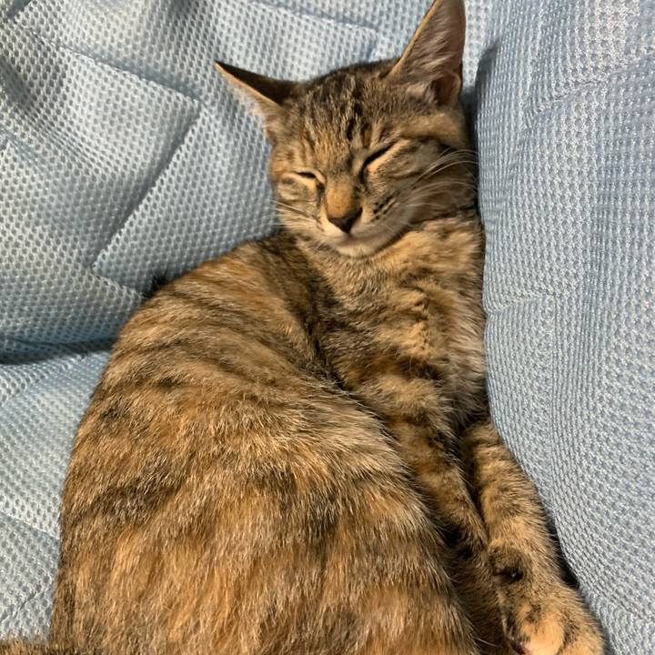 3cb86c97 dbce 4fce a5ba 5edf5f165813 1595062456379