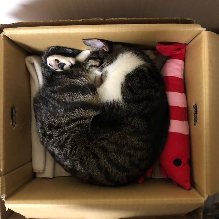 3cb8ab80 1ae0 4b7b b002 940a19e4d12b 1543250791967