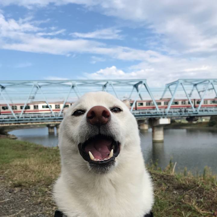 3cb8b9f6 23dc 4bab 9829 729fc8f4d09f 1539733078111