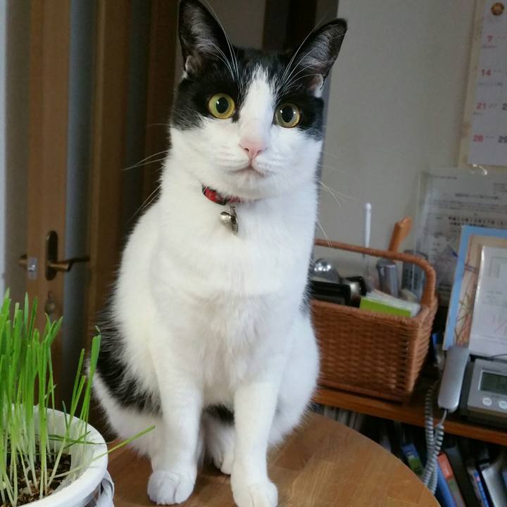 3cb8c3bc 2914 494f 9930 b9cc9bdc823a 1539819326372