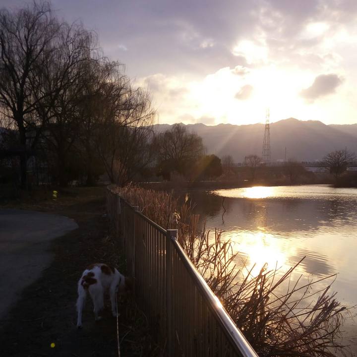 3cb915ad d1a2 4d39 9178 6a62a35a2df0 1518826899323