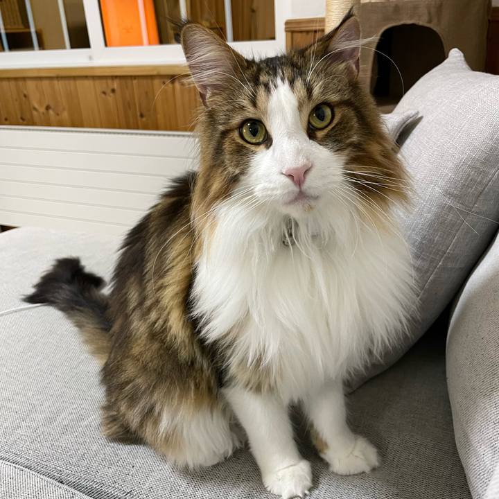 3cb956dc bef6 4e96 9fe1 eb7567e78134 1669405580932