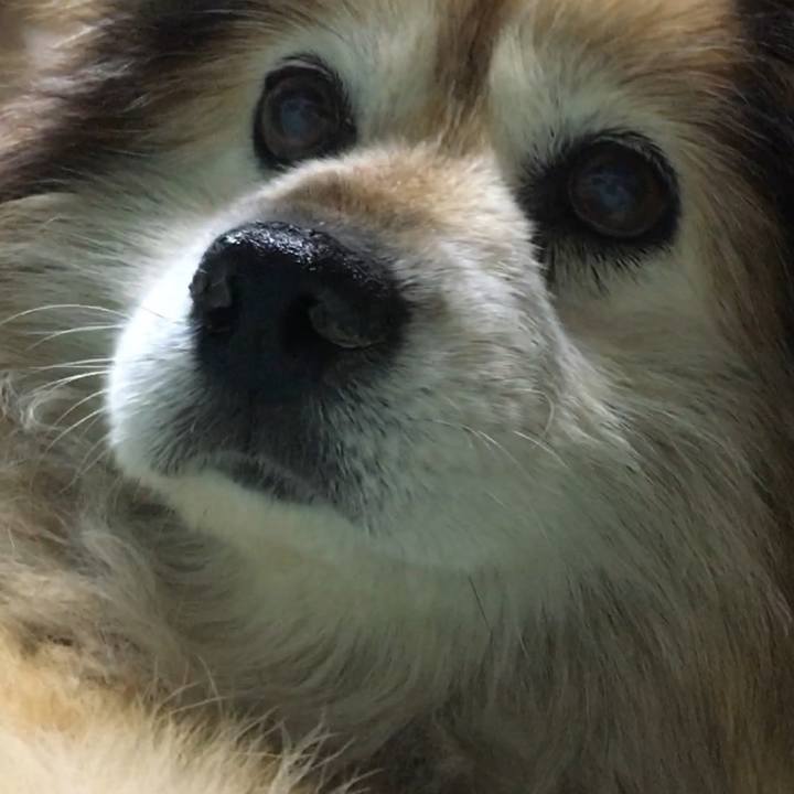 3cb95d4f d73c 44be bdd2 a6c05a799cd6 1599358804459