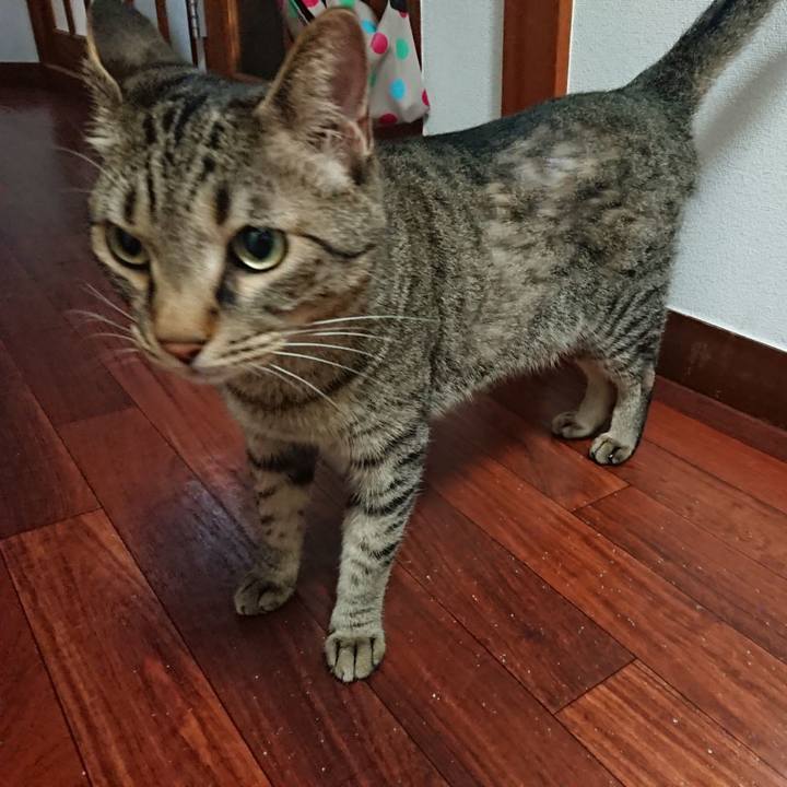 3cb96322 fd17 43a9 9eb2 362ef33a0fb2 1561543782779