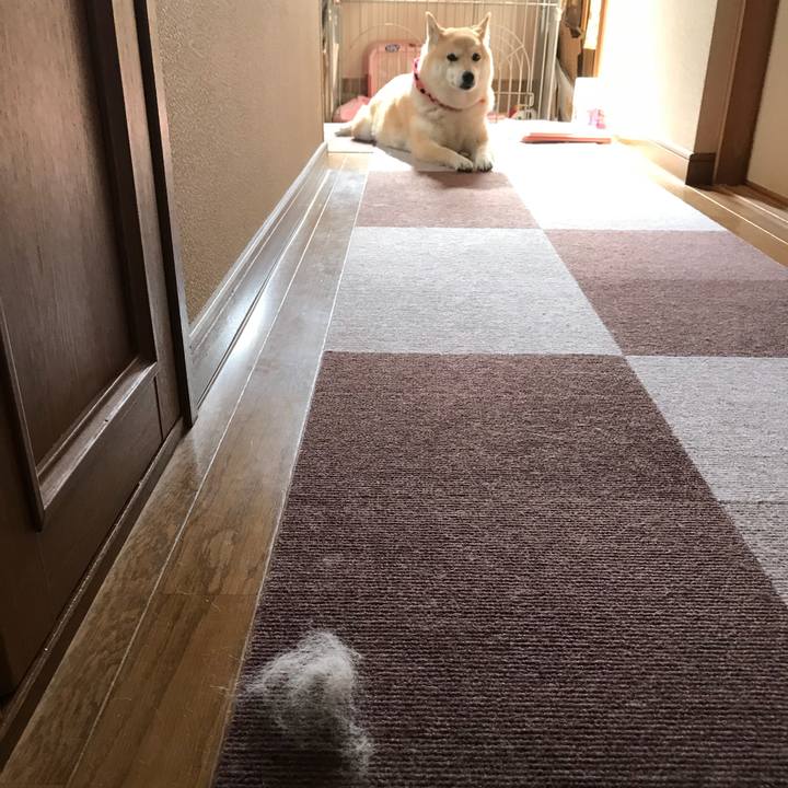 3cb9762a 51a9 4fac 94bb 17ba5f964c73 1527861981226