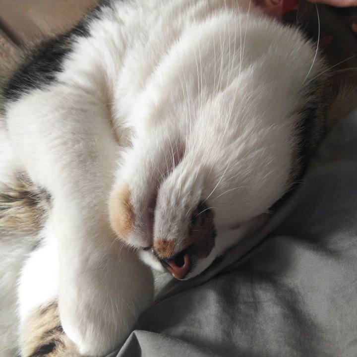 3cb981f5 d3d4 4123 92b4 c2c7168d50ad 1659246091849