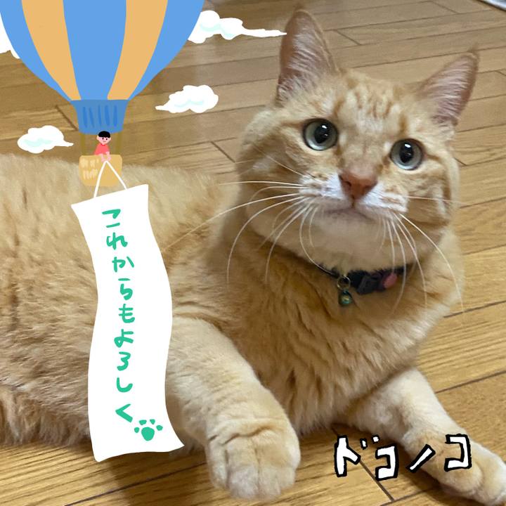 3cb9d8ee 556d 4632 b0bb f23295ad3d6b 1685938144603