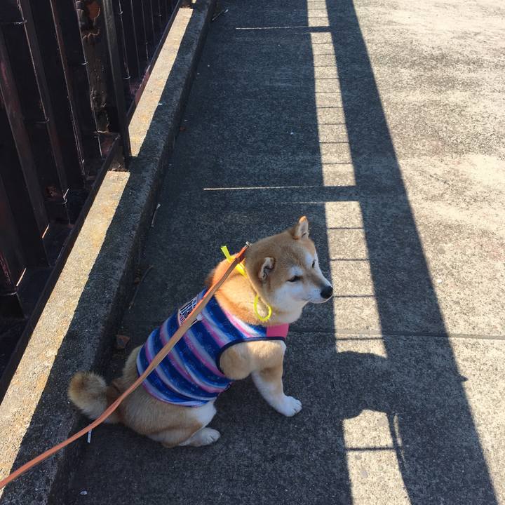 3cb9e97a bdbf 46d2 b819 719b4f3d63eb 1555158429521