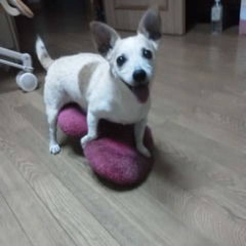 3cba0c1f cb95 4114 ade6 3b8afdb0d462 1530259783987