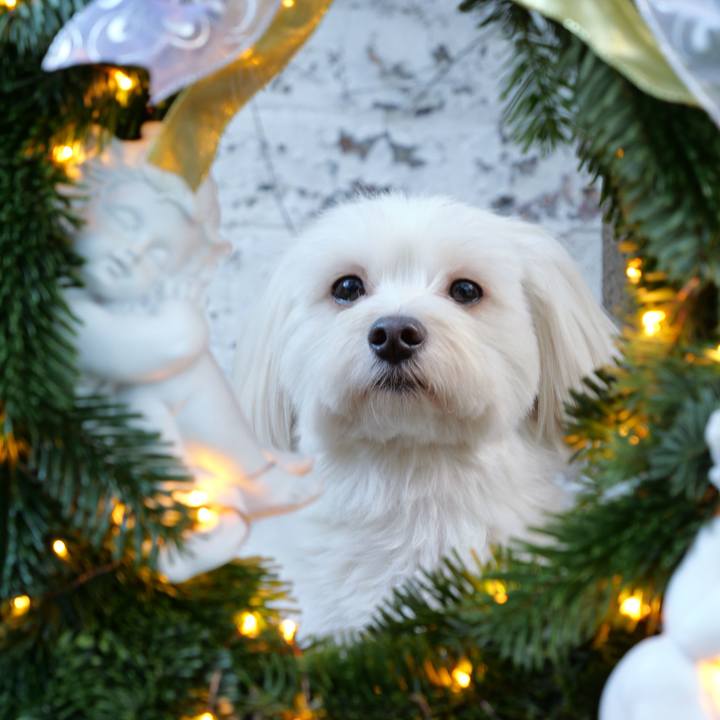 3cba28ac f7a4 4d4d 83d1 7ed4389a9b40 1766129255059