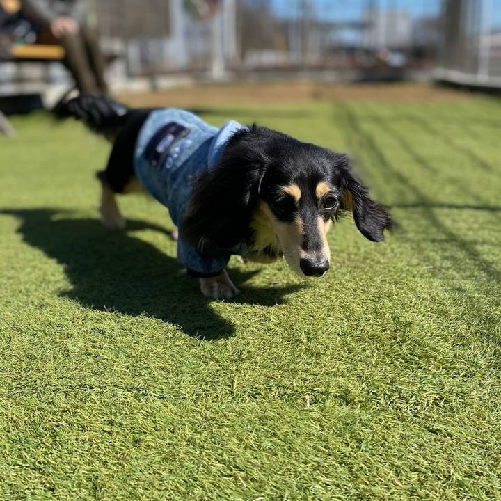 3cba724f 3023 4ef4 8157 22ac9237a3c7 1707716981489