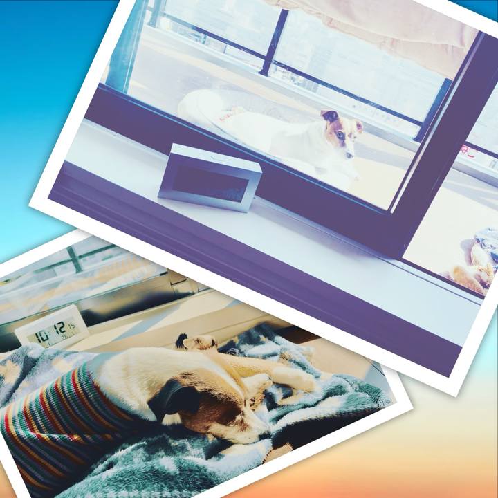 3cba9da7 ebe5 4c93 a62f 6d5ea6c48f55 1740794559444