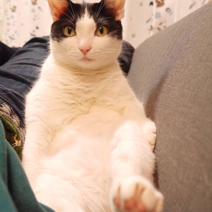 3cbab1f7 ca0f 4796 94e6 83f31a9a2252 1532433552799