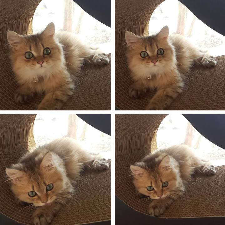 3cbabfb1 b974 44ca a7a4 5161a4351fa4 1559102116239