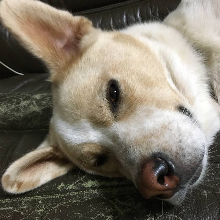 3cbb05a0 b5e2 4542 8deb 92a215230c89 1540033671629