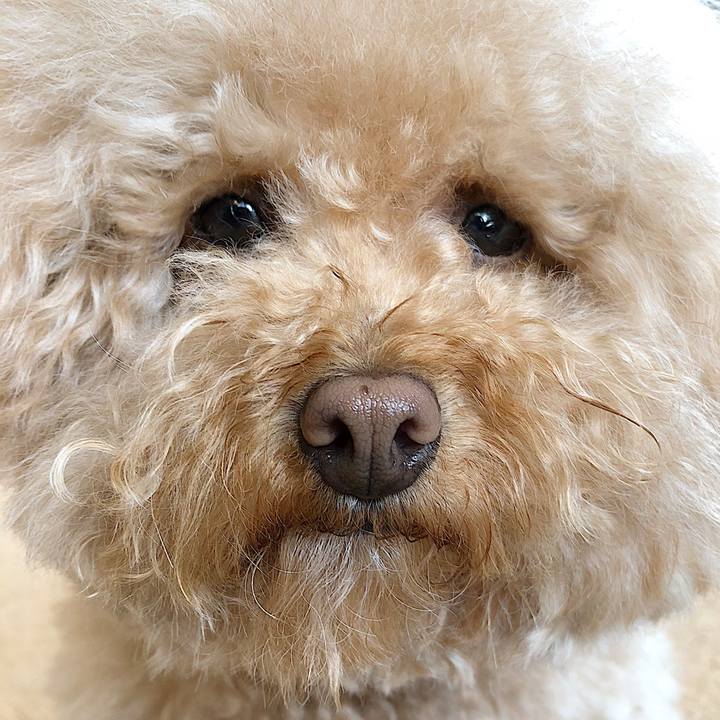 3cbb1269 c4c3 4230 9124 7eaeaf2c9a9c 1523496335575