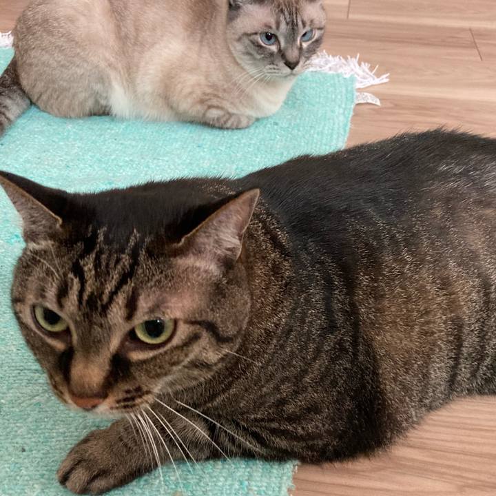 3cbb27c5 fdca 4c13 98cd 658c0ef44f55 1655941154360