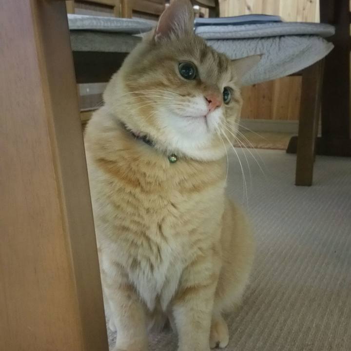 3cbb2fe9 368c 4ff4 b43b 20c8a36967ae 1545259200079