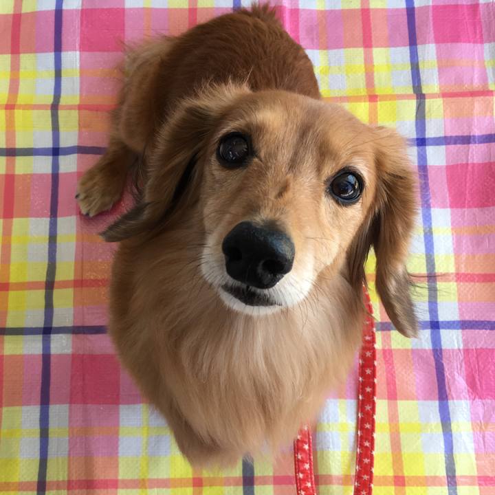 3cbb69ce d10c 4d61 9570 908685ee8d30 1605877508302