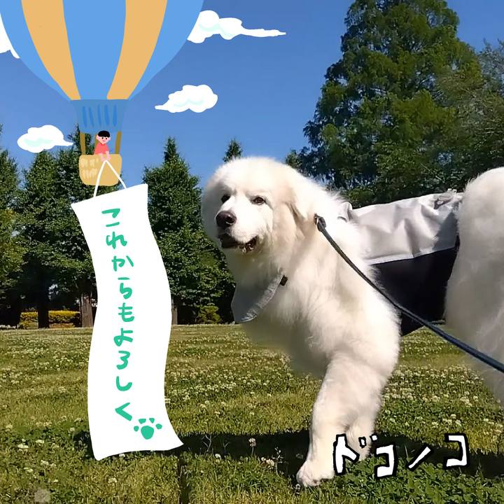 3cbb7a11 a976 4ad7 9a68 0657766df382 1685937943241