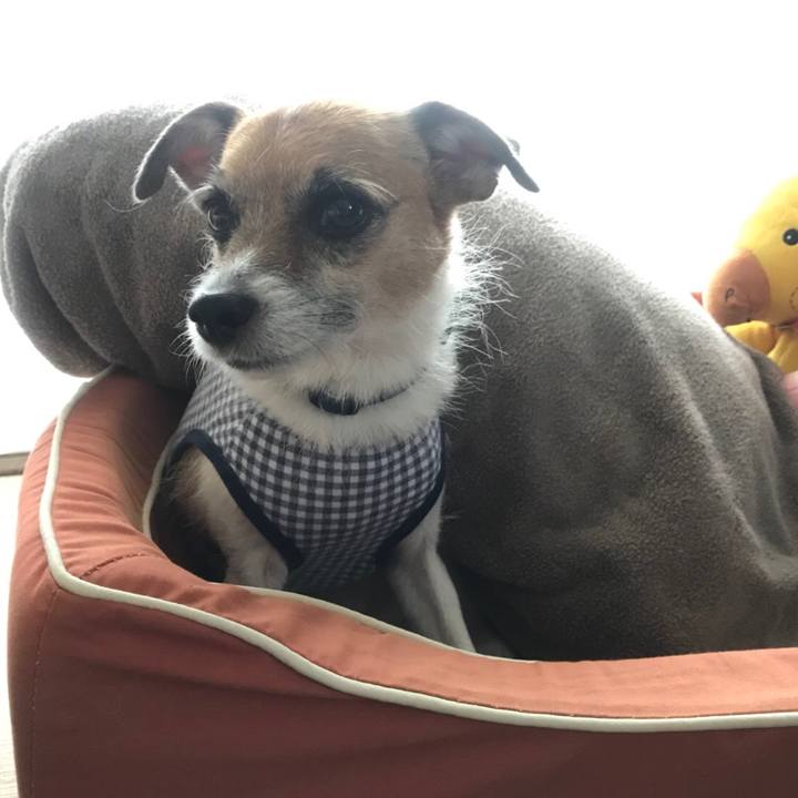 3cbbc492 8d39 4cca 92c9 60fb96b48231 1508186961732