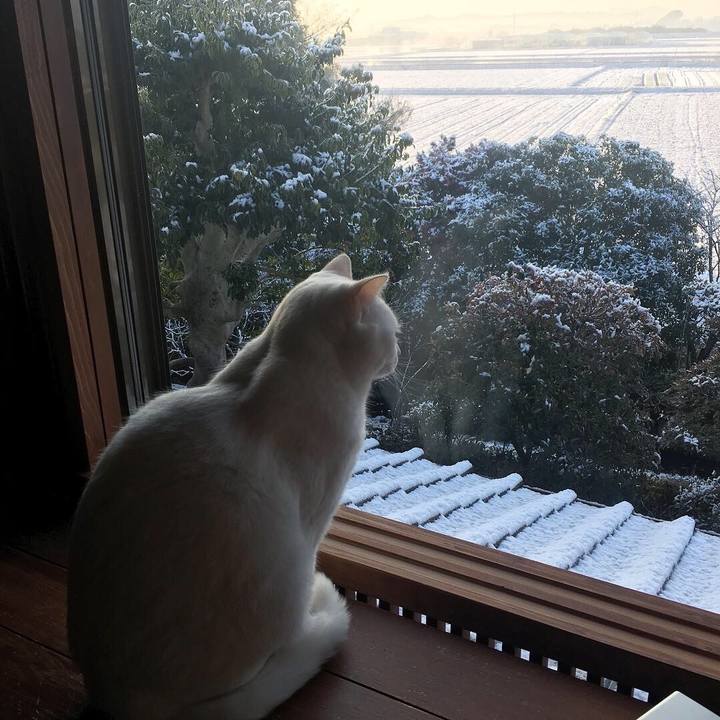 3cbbcbc5 a72b 427b b2c4 0f9d2ae760f3 1548545620845