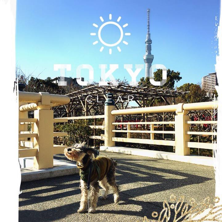 3cbbede1 a063 4ba7 bdbe 124144df1bb7 1518602457928