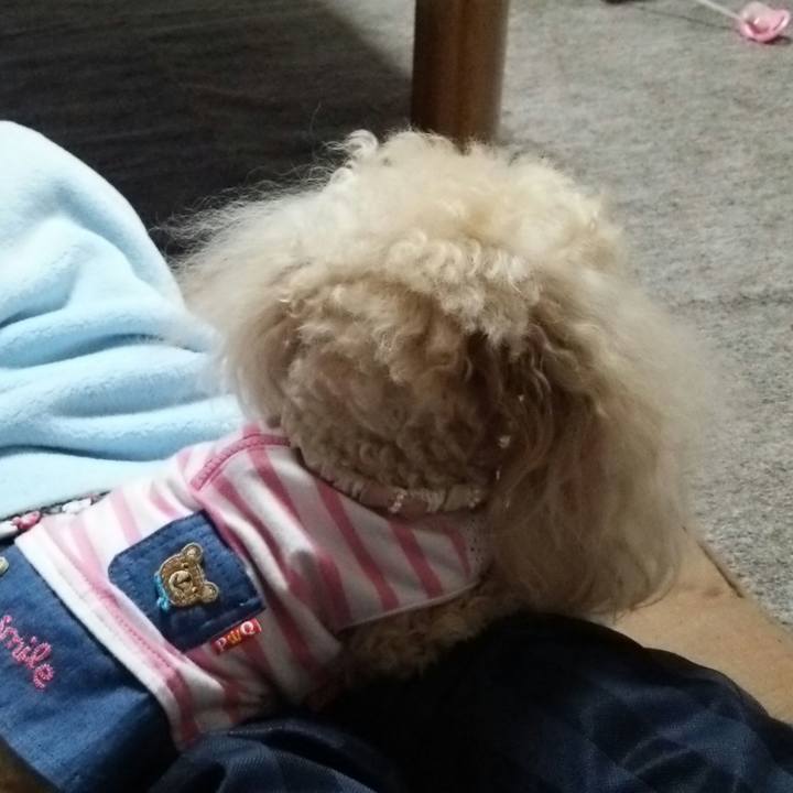 3cbbfda7 93b3 4df1 8db4 eb5b8107bd22 1526472330221