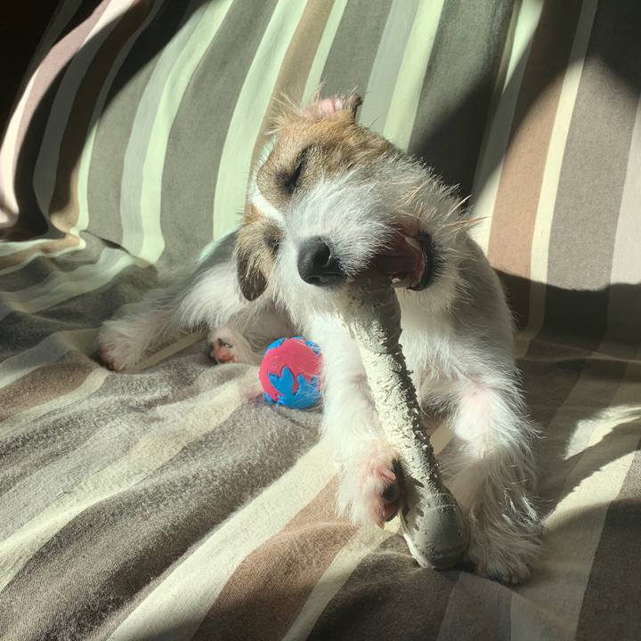 3cbc0eb6 9c49 4b6a 9bc7 7f7e58fc8828 1573517035455