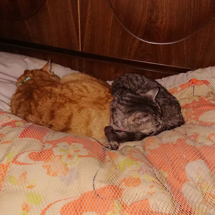 3cbc1b1c cf71 4057 906a fca562ec15ba 1580566261075