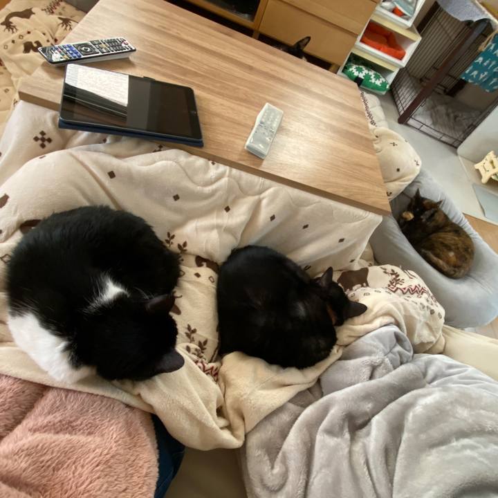 3cbc7813 67a9 449b 86ec 30e20b8304a4 1639106222214