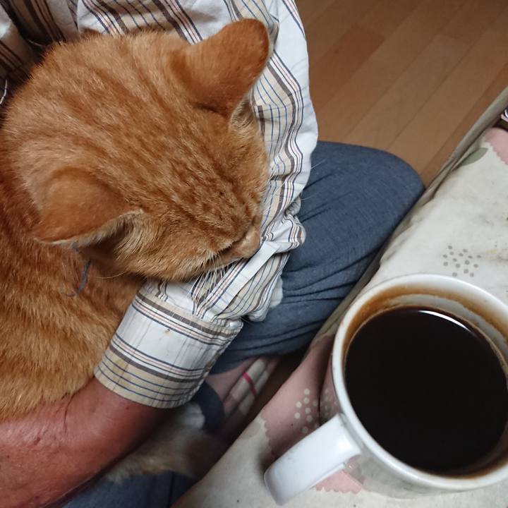 3cbcb2e5 cfc9 4be7 a0d2 861022c3d09f 1600978205910