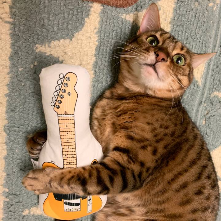 3cbcbd61 219f 4af9 9e0d 1a088ef9790c 1575499916147