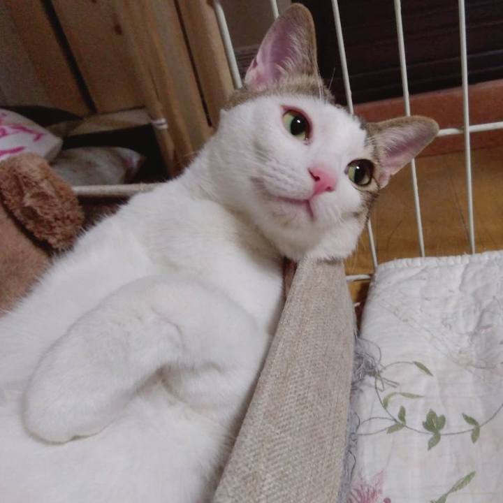 3cbcc49a 7c29 420f b9d5 eecd61647684 1677320767884