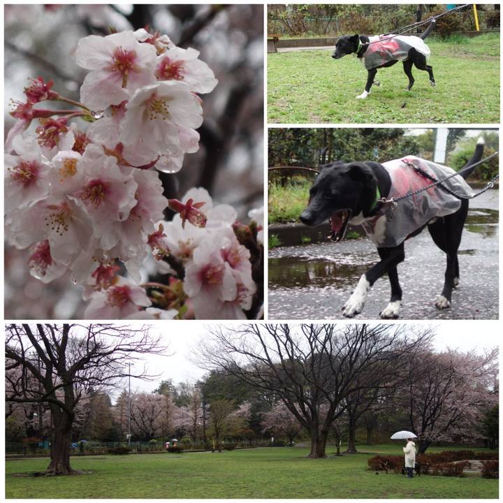 3cbcd345 3443 4071 81ee c8aa4c9474e8 1649031667395