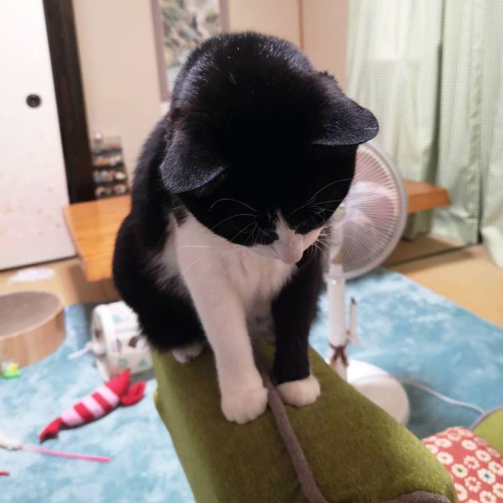 3cbd0bb4 a062 4f57 898f 17a271b51312 1634098268641