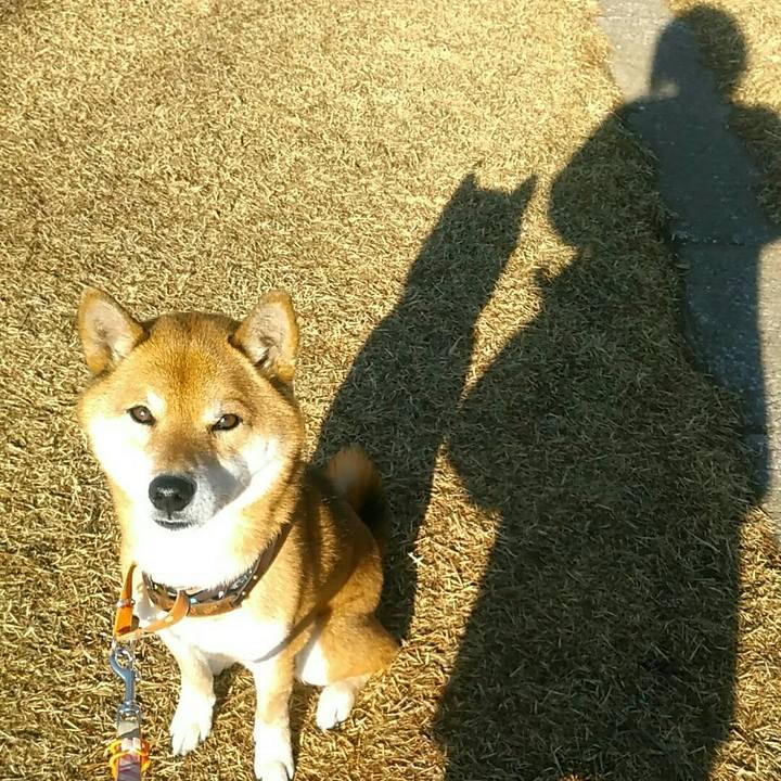 3cbd2952 eafa 4f75 af27 af80079b3b12 1578272442581