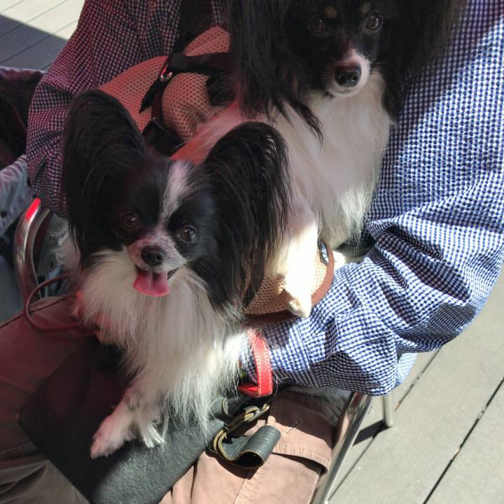 3cbd2adb ad8d 473e 9c01 fdf21cdba830 1534476717792