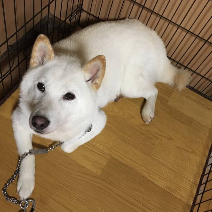 3cbd5df9 81b5 4c35 ab61 0f9bea3866df 1536920839047