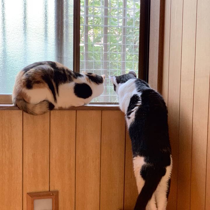 3cbdaaaa 9d0d 4fec 9234 14d301cc0ab1 1539570164830