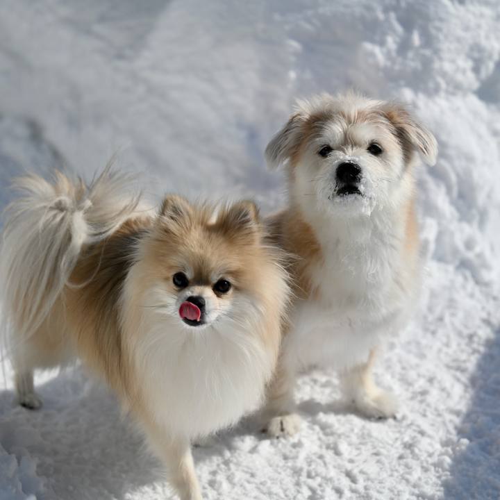 3cbe11f0 a699 4825 a375 fcb5a8664212 1770437748412