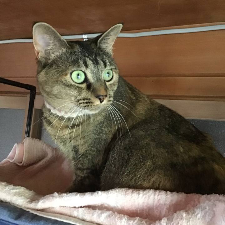 3cbe5b2a 6635 4059 9ae2 defb328d5bd7 1691055432991