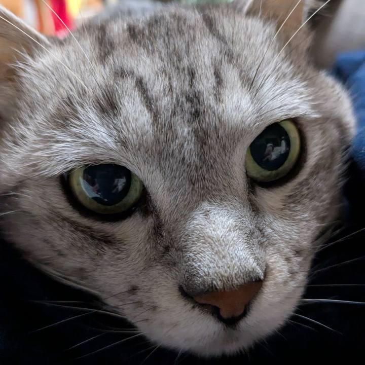 3cbe6bf3 70d6 44a6 b64c 2b695877e8f0 1760239469228