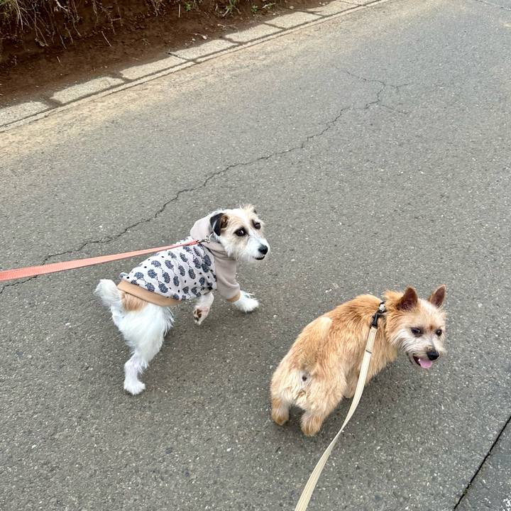 3cbe8a23 4626 4b4a 90ca eafd4ef3c4e6 1711289218352