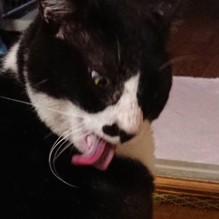 3cbec2d5 b1c4 4dc4 b515 5a23de244e2f 1538986221683